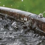 Rainwater Harvesting for Permaculture
